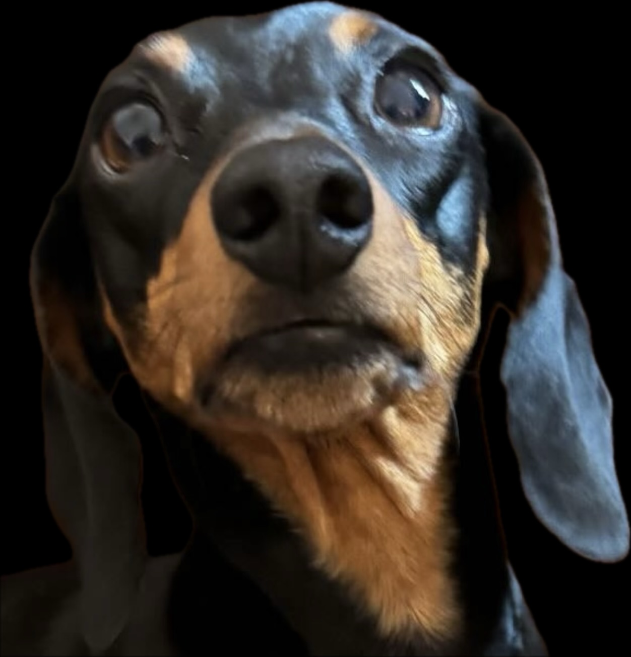 Frida hint icon